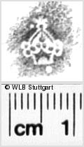 Image Description for https://www.hist-einband.de/Bilder/WLB/MIG/images/s0331803.jpg