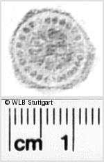 Image Description for https://www.hist-einband.de/Bilder/WLB/MIG/images/s0340305.jpg