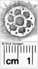 Image Description for https://www.hist-einband.de/Bilder/WLB/MIG/images/s0342409.jpg