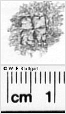 Image Description for https://www.hist-einband.de/Bilder/WLB/MIG/images/s0342607.jpg