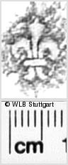 Image Description for https://www.hist-einband.de/Bilder/WLB/MIG/images/s0343810.jpg