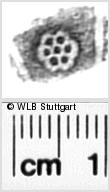 Image Description for https://www.hist-einband.de/Bilder/WLB/MIG/images/s0344311.jpg