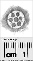Image Description for https://www.hist-einband.de/Bilder/WLB/MIG/images/s2822519.jpg