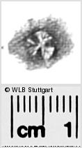 Image Description for https://www.hist-einband.de/Bilder/WLB/MIG/images/s2824517.jpg